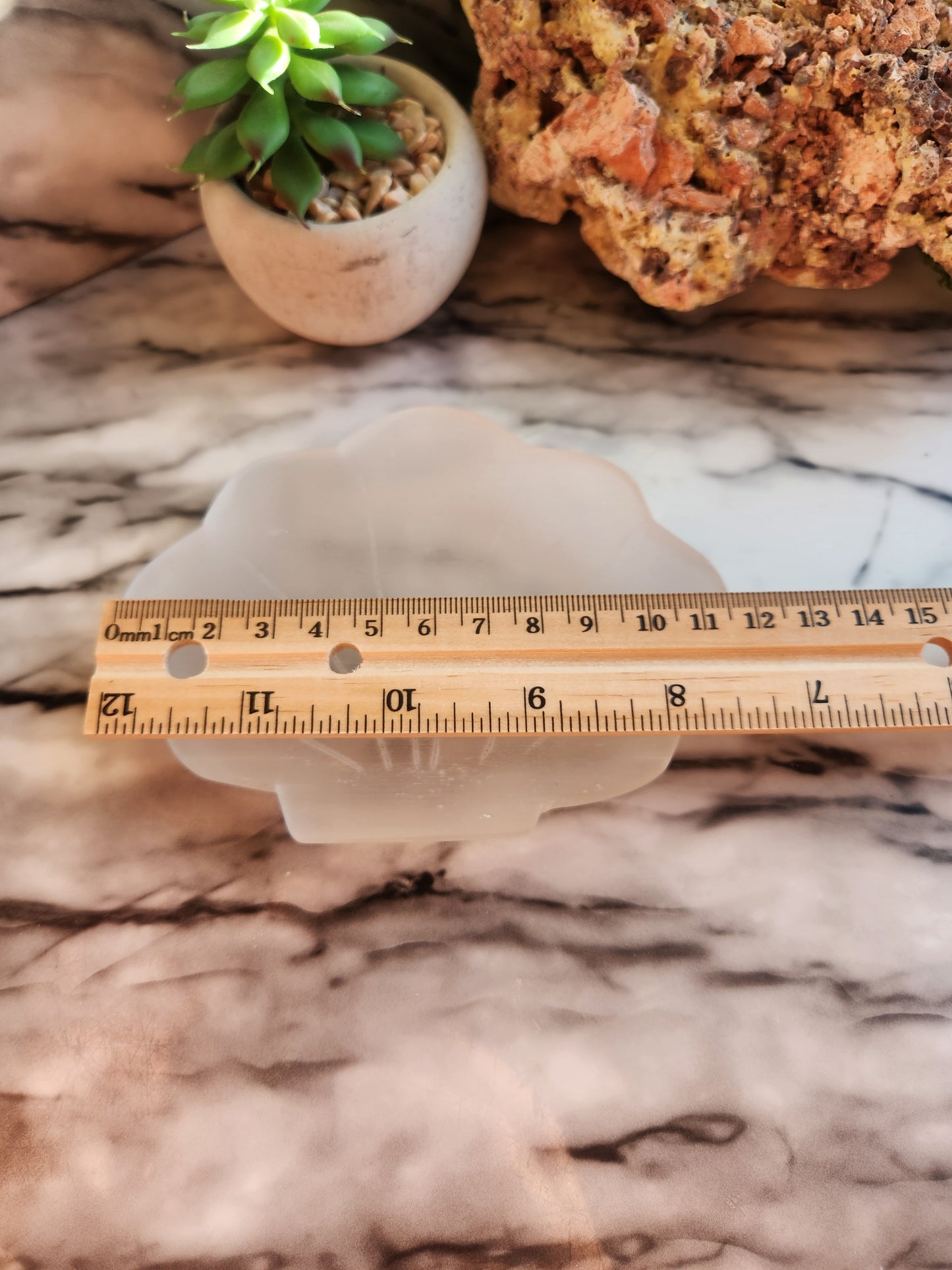 Shell Selenite Bowl