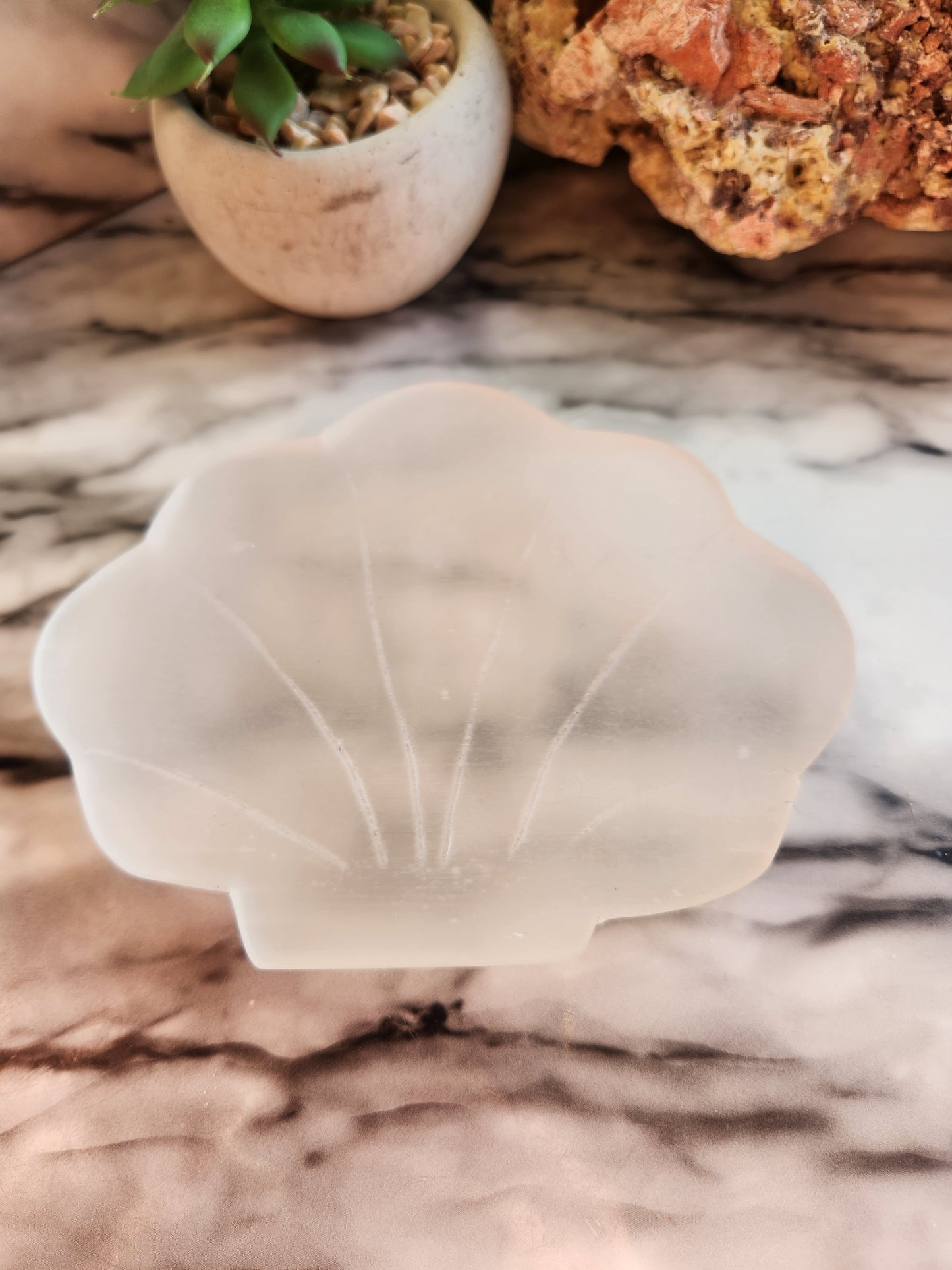 Shell Selenite Bowl