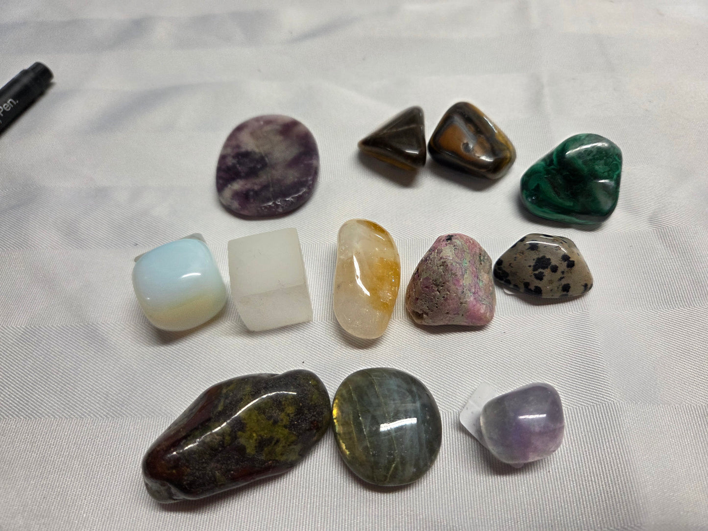 Tammy Live Sale Order