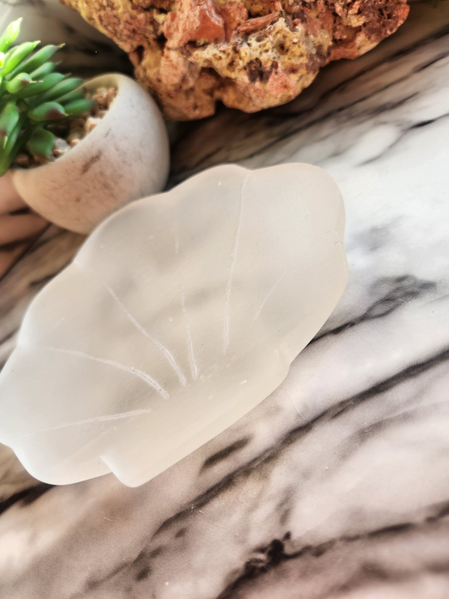 Shell Selenite Bowl