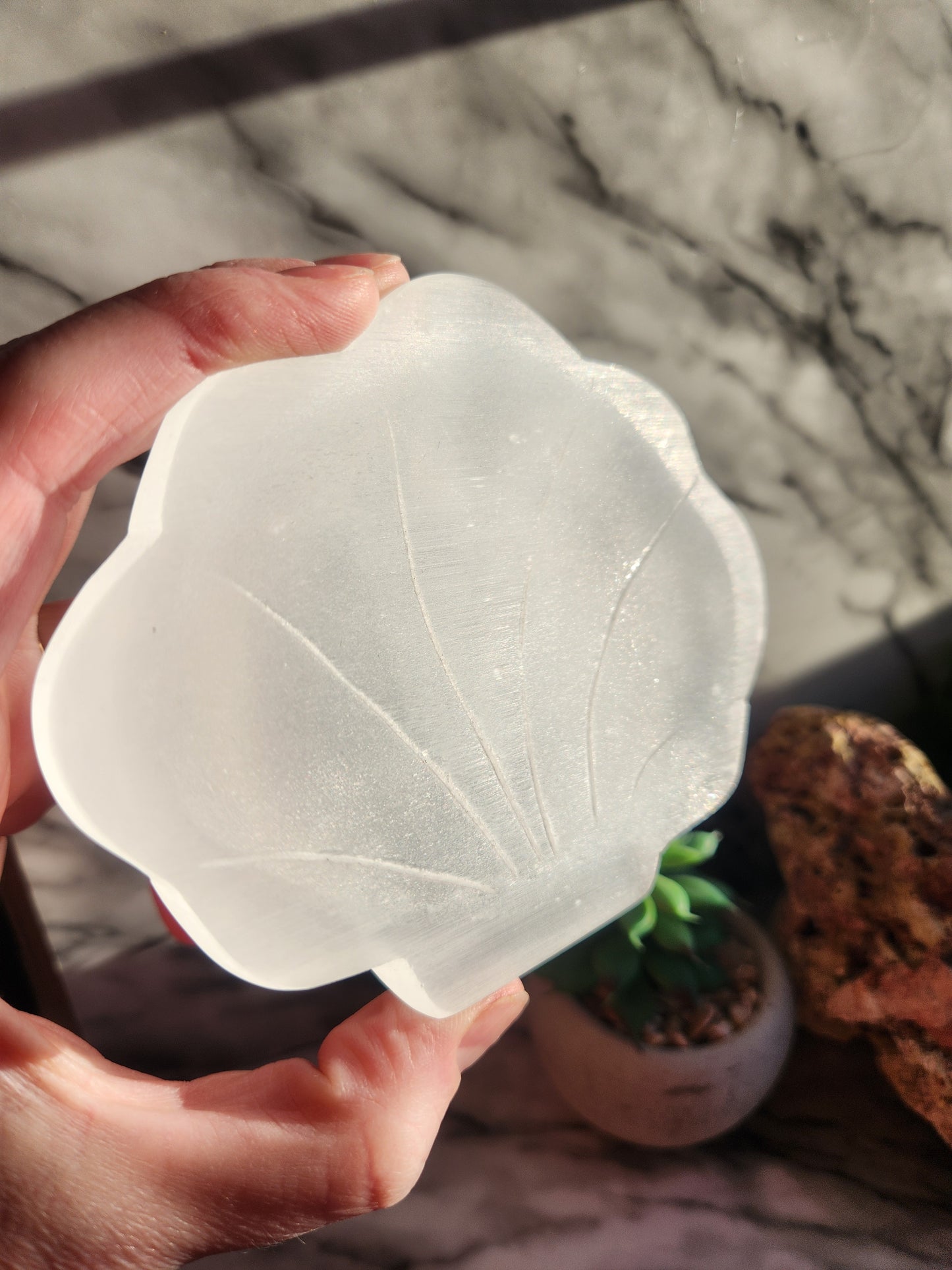Shell Selenite Bowl