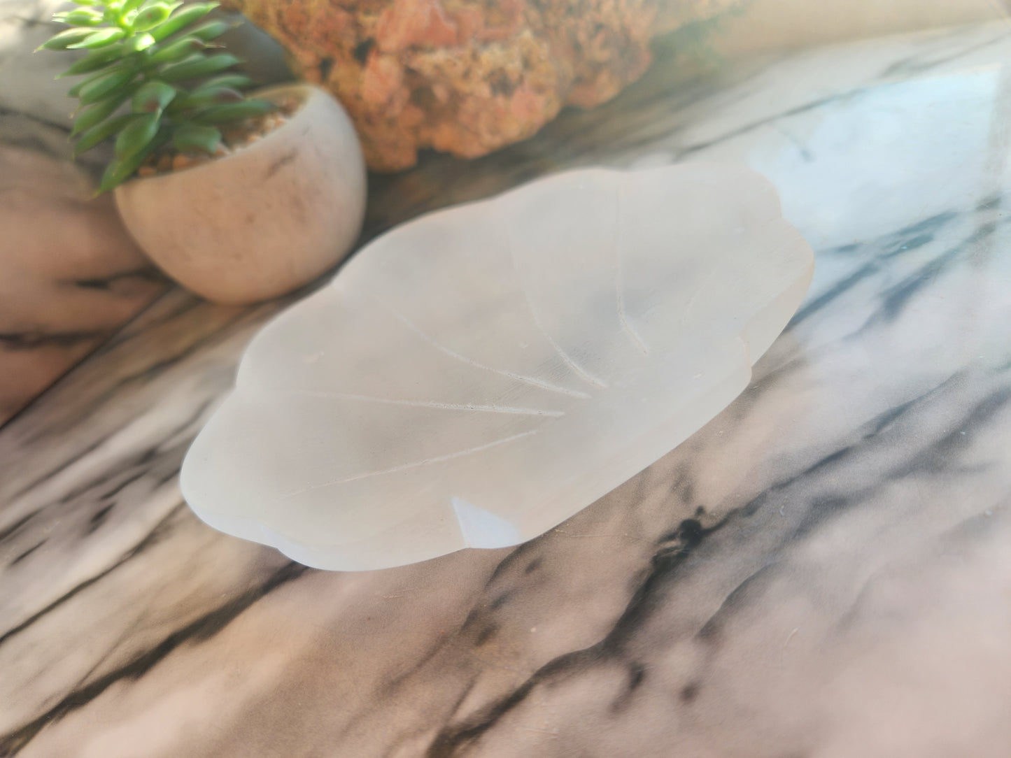 Shell Selenite Bowl