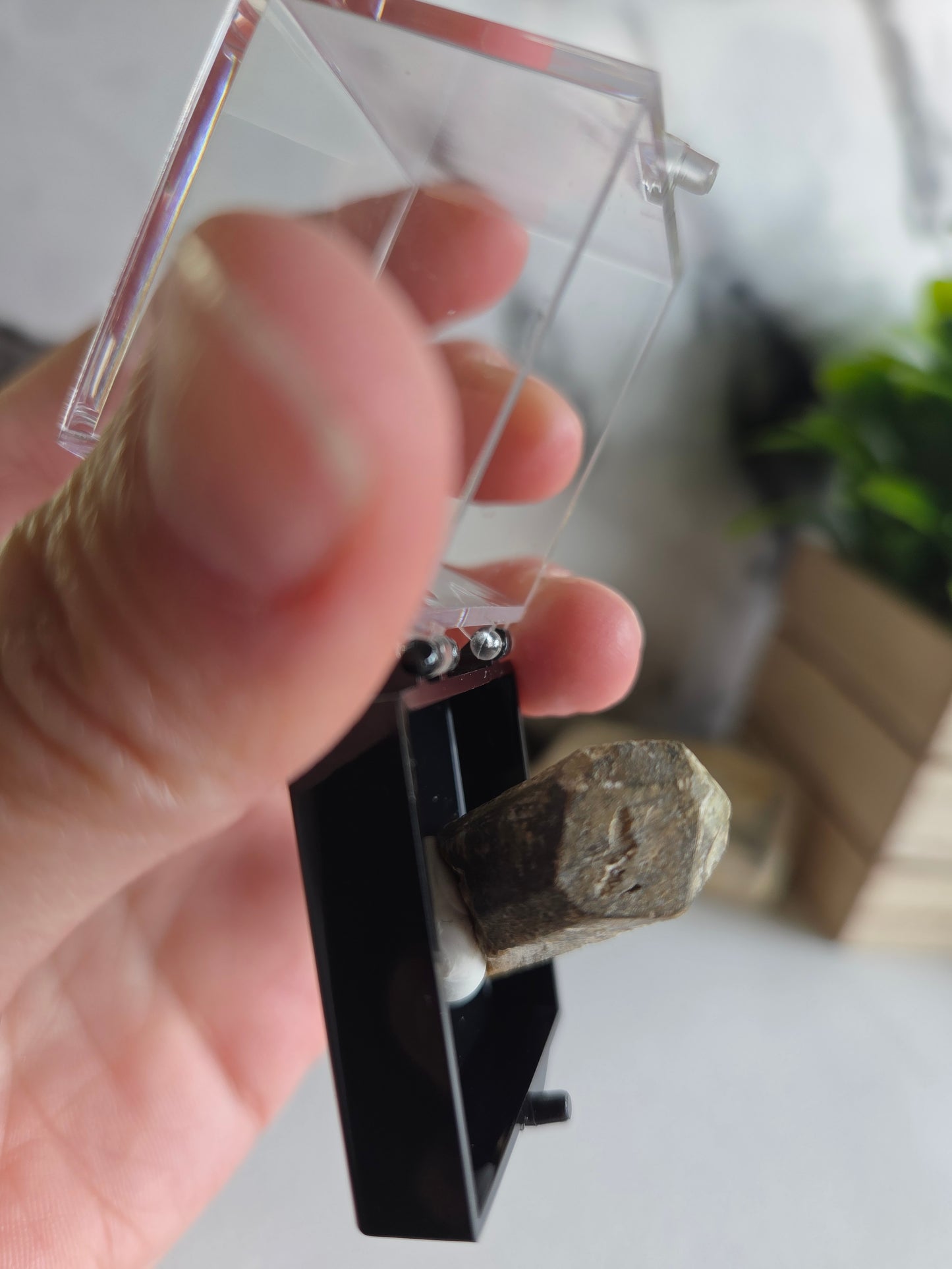 Natural Scapolite Crystal Specimen
