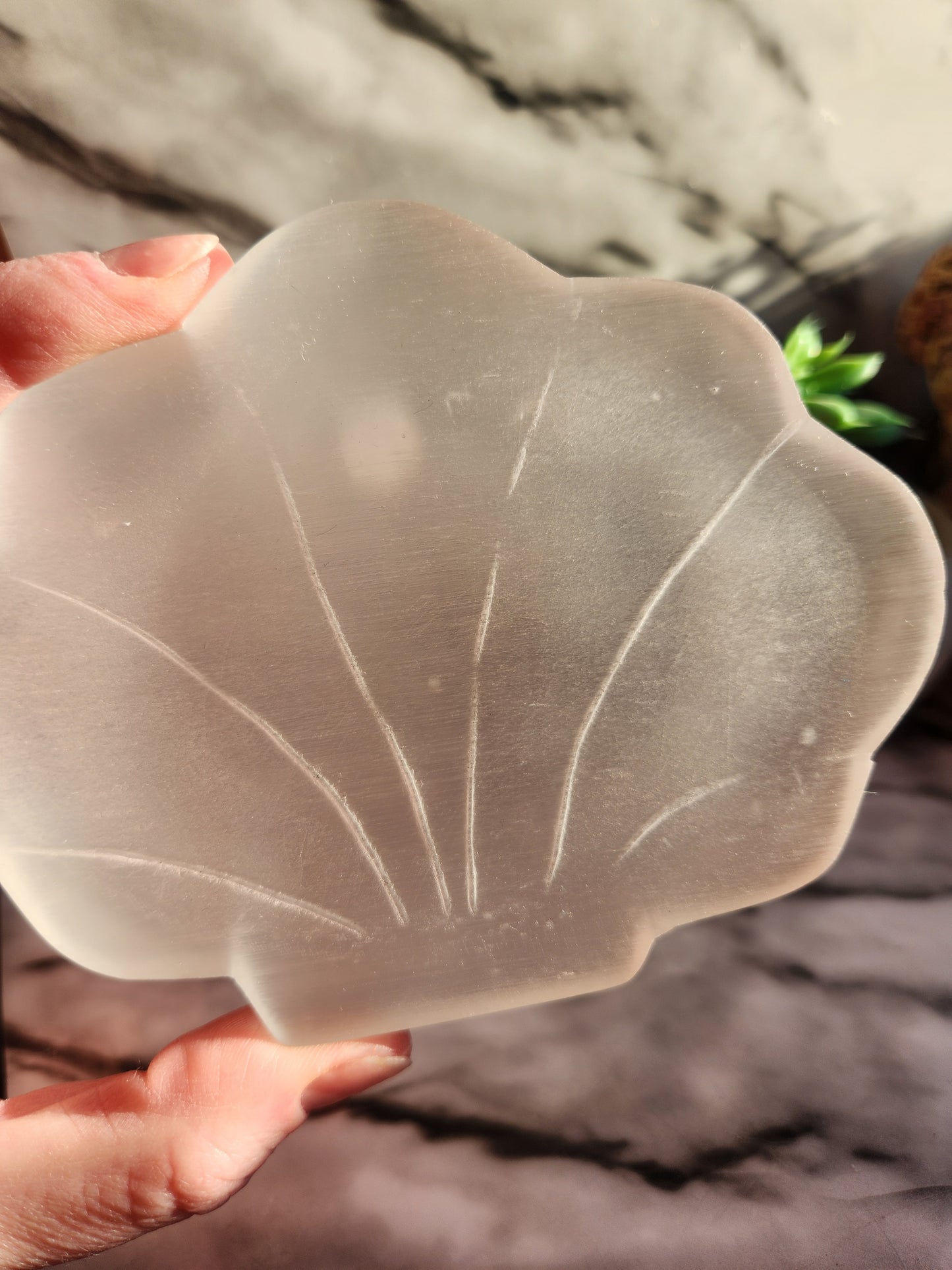 Shell Selenite Bowl