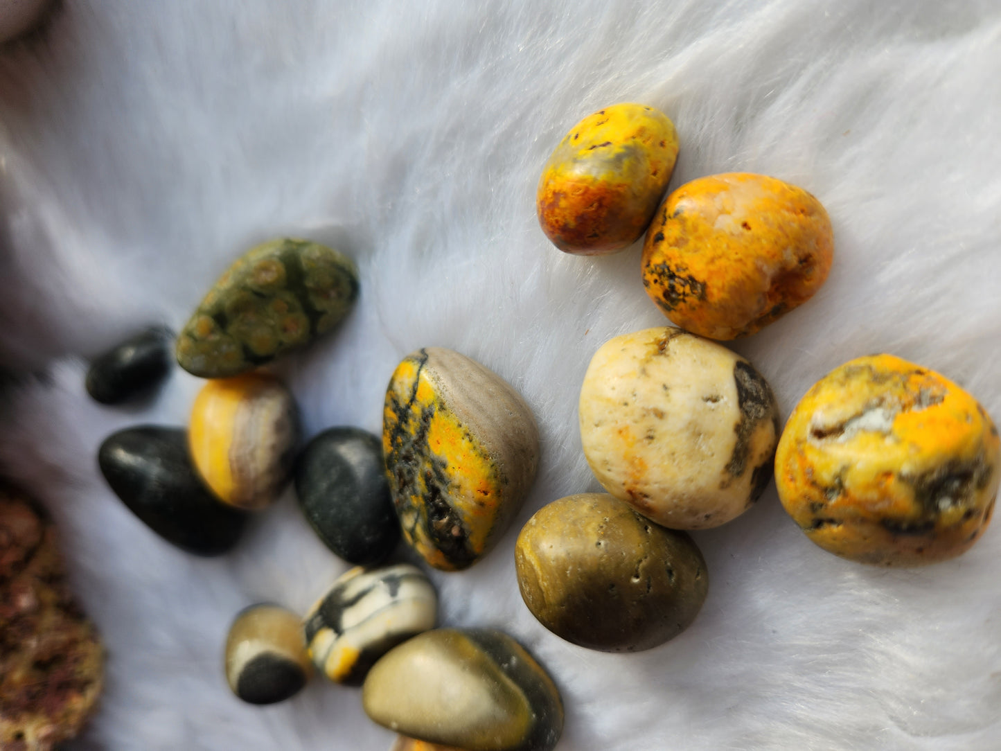 Bumblebee Jasper Tumble