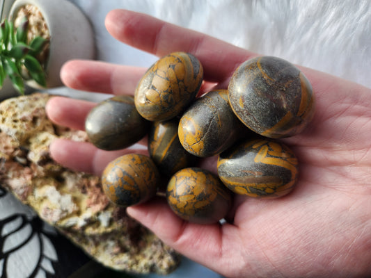 Bamboo Jasper Tumble