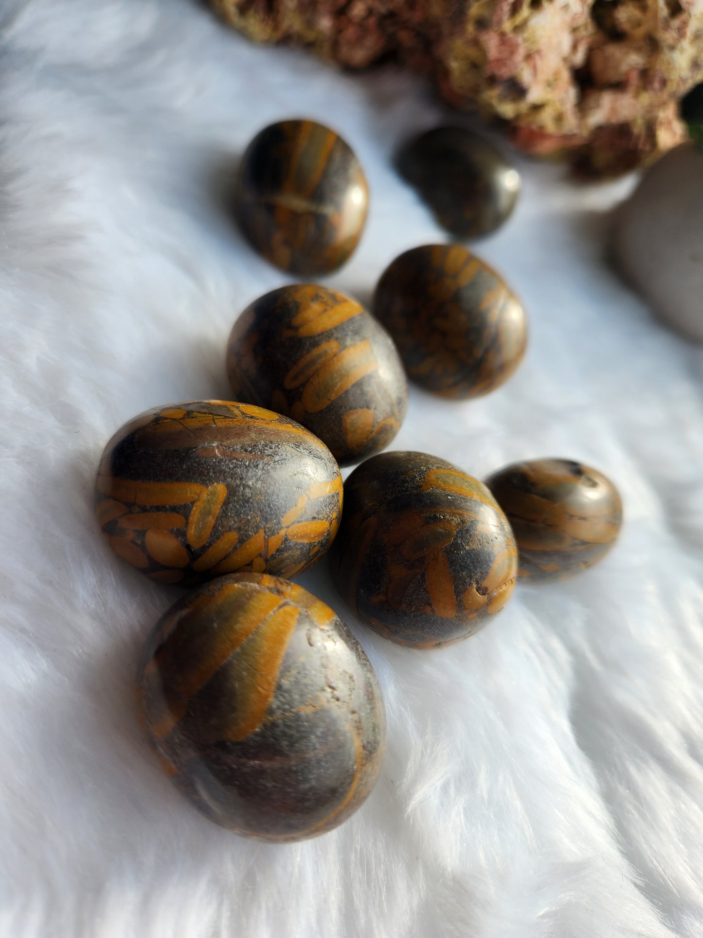 Bamboo Jasper Tumble