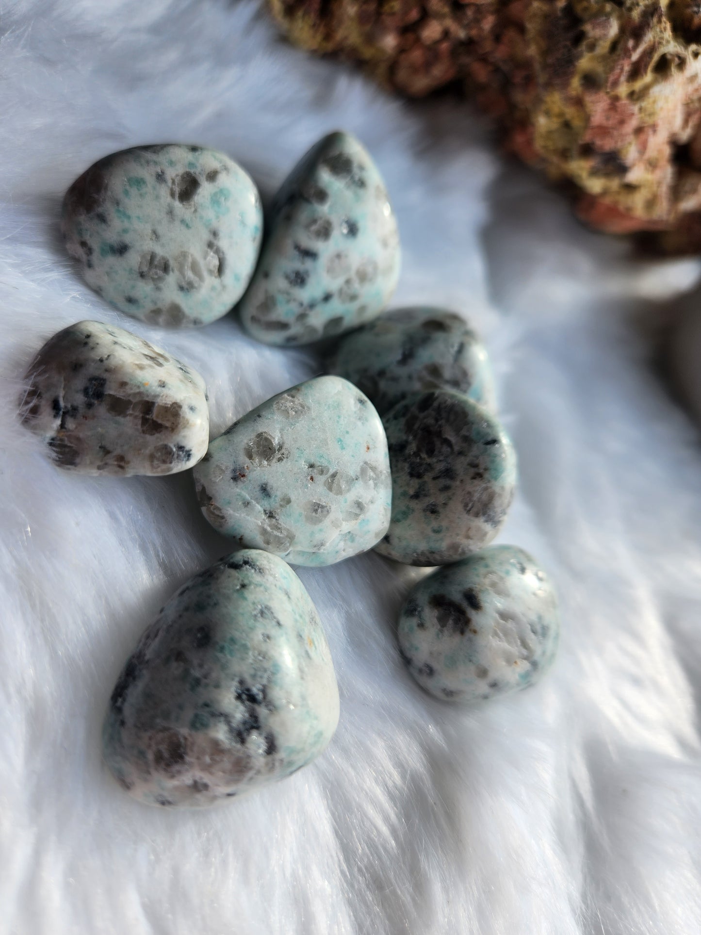 Kiwi Jasper Tumble