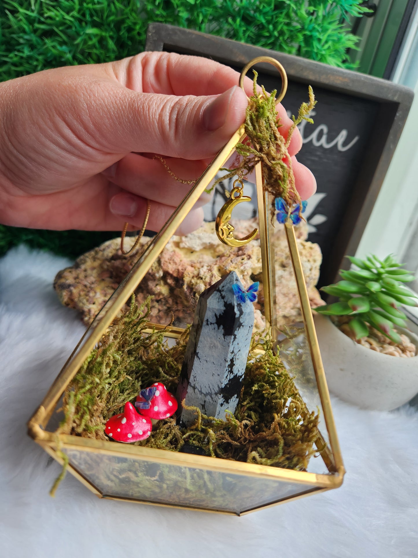 Snowflake Obsidian Crystal Terrarium