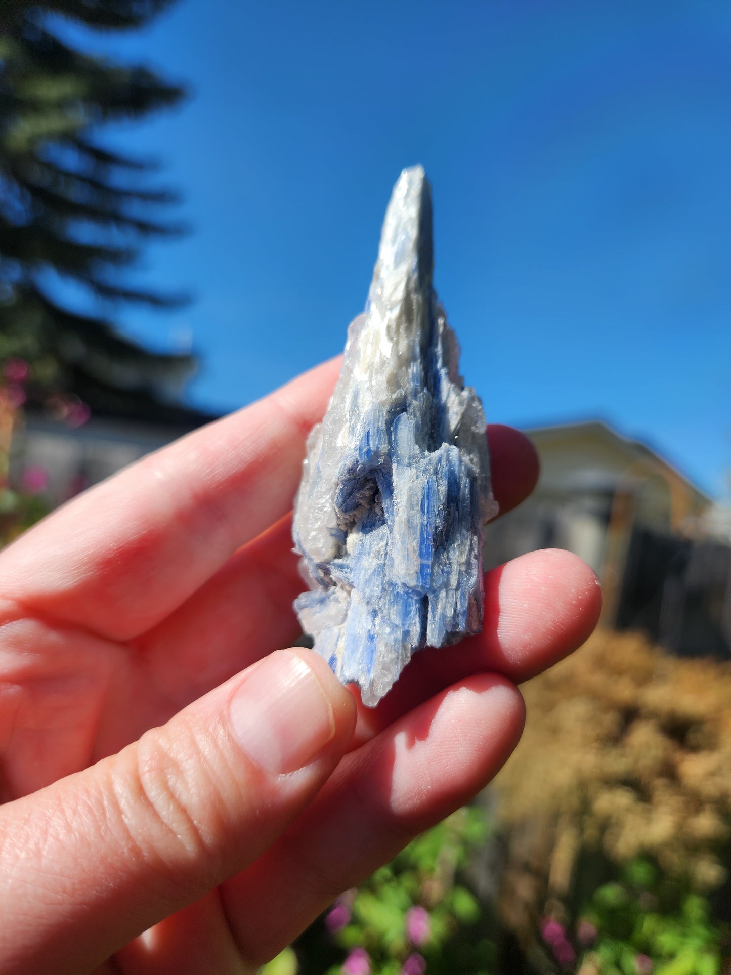 Raw Blue Kyanite