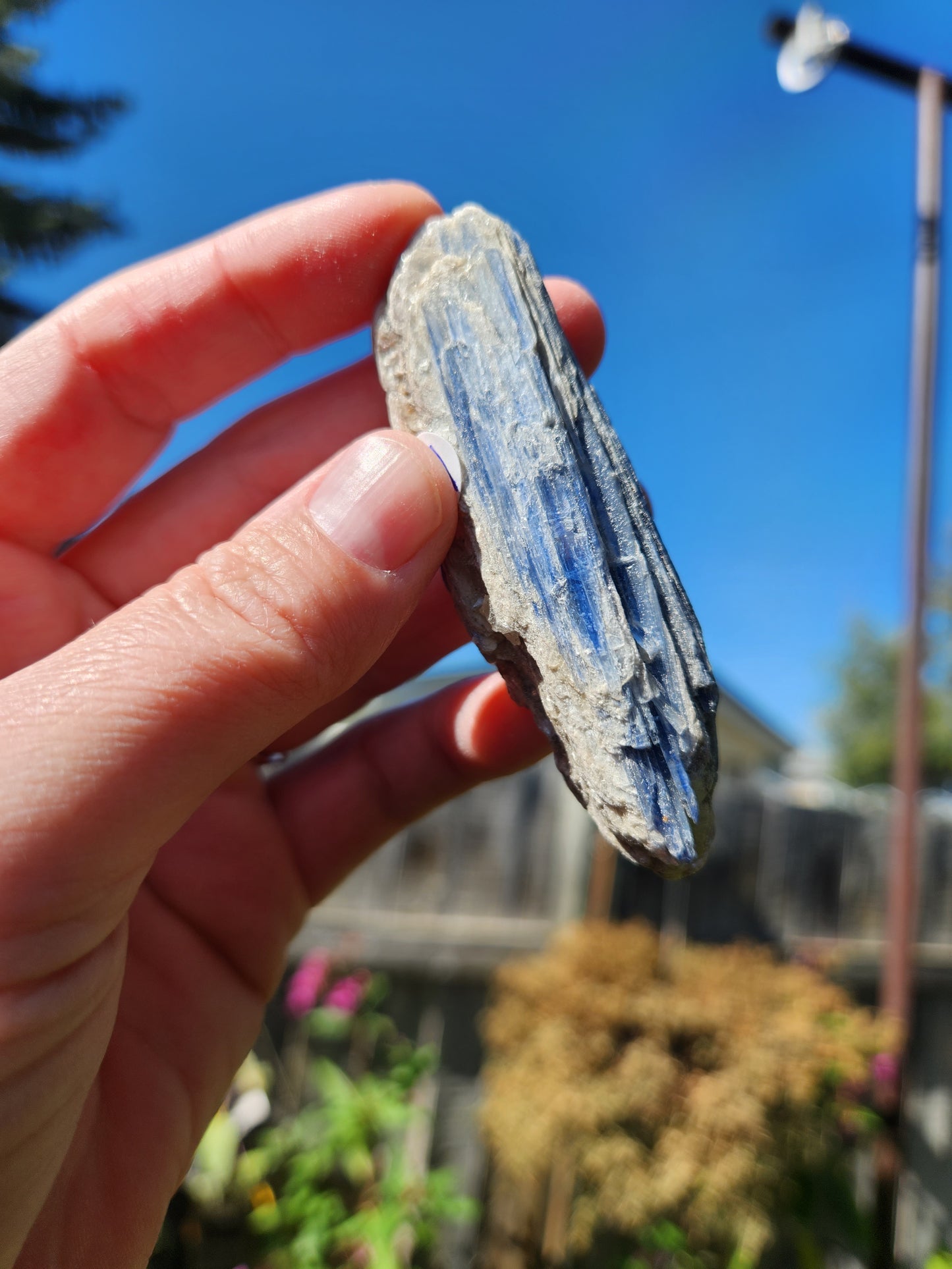 Raw Blue Kyanite