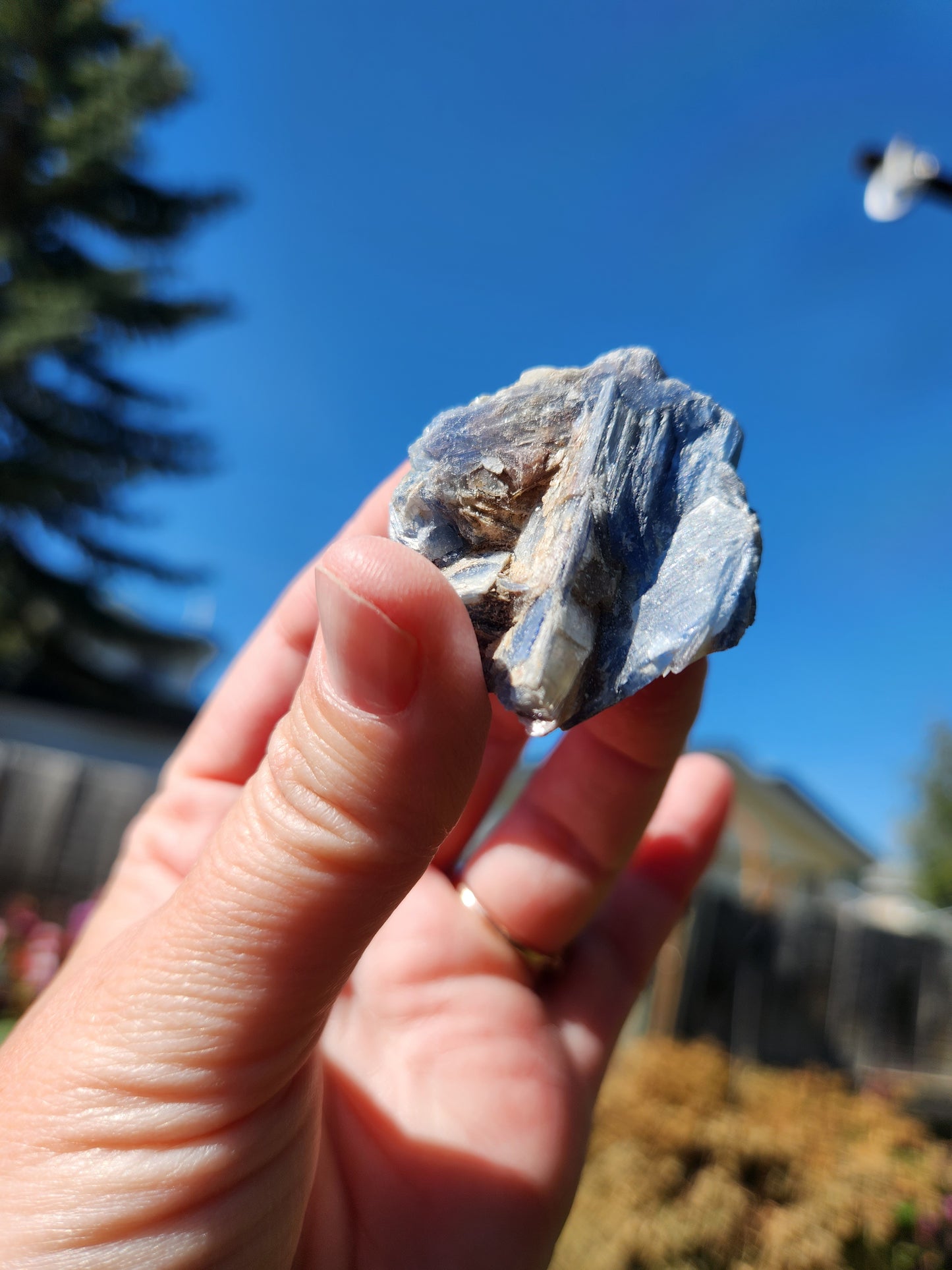 Raw Blue Kyanite