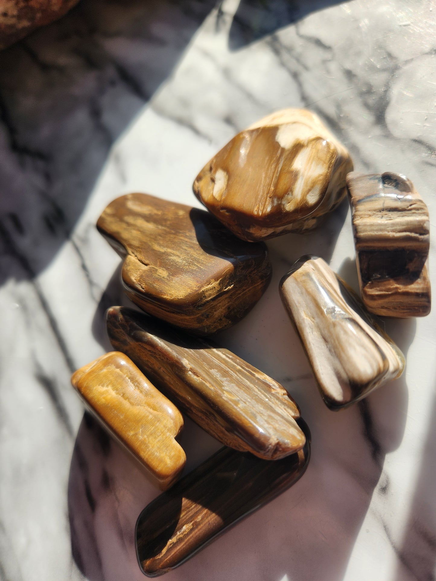 Petrified Wood Tumble