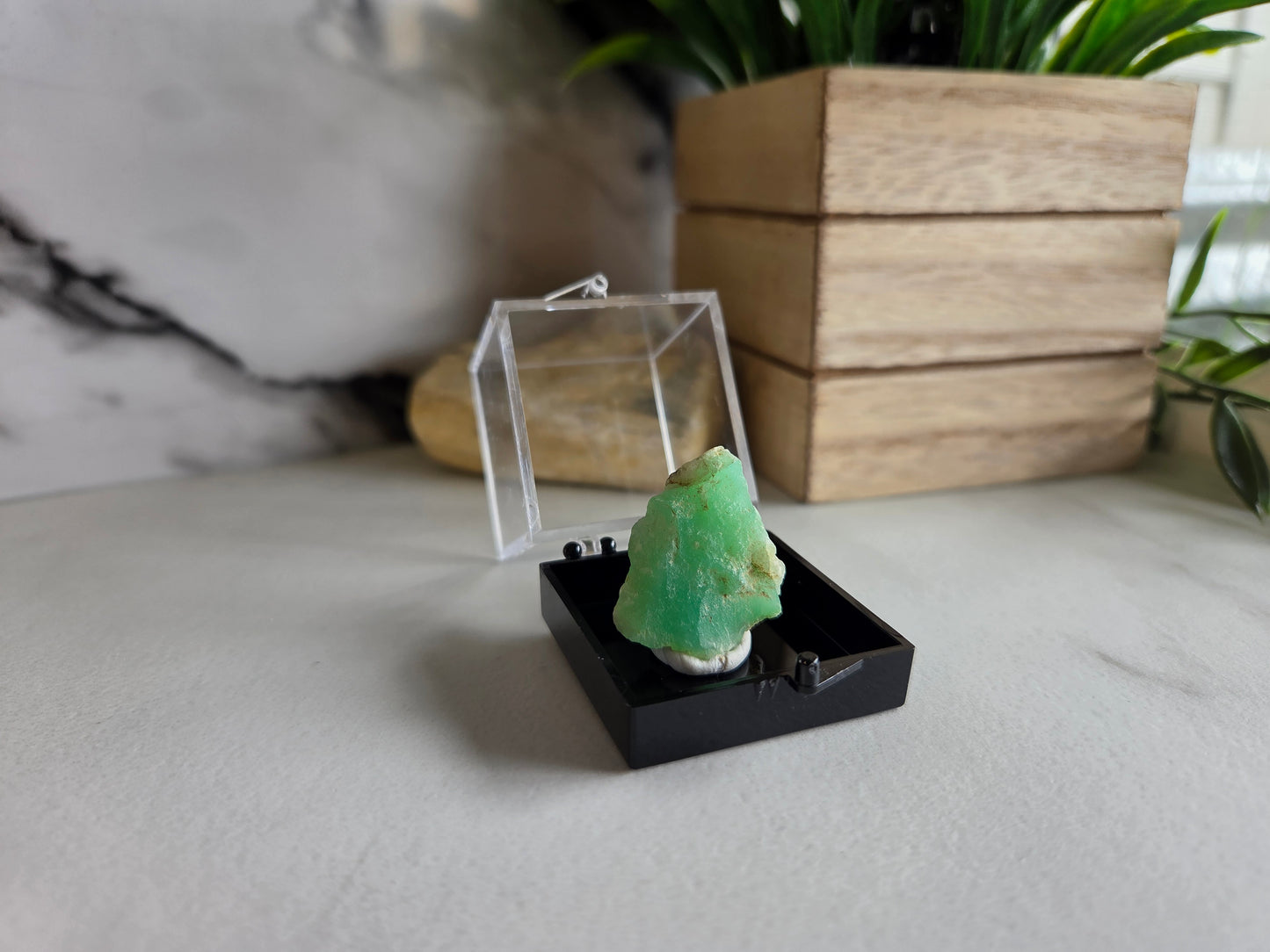 Chrysoprase Specimen 💚