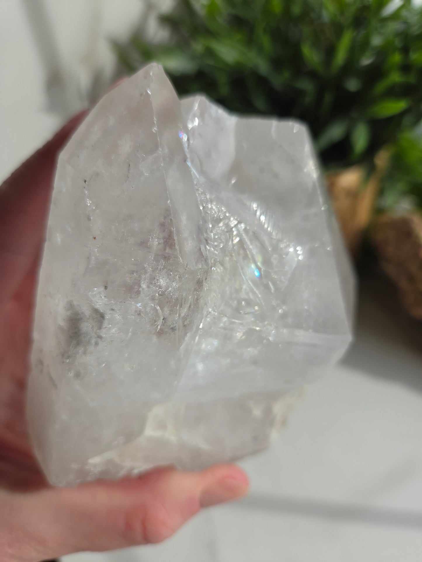 Raw Lemurian Quartz 🤍