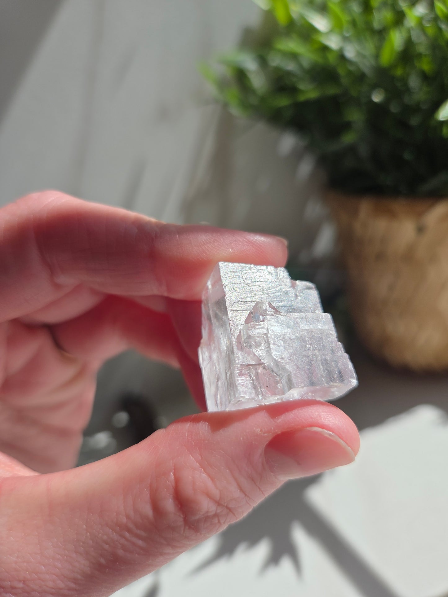 Raw Blue Halite 💙