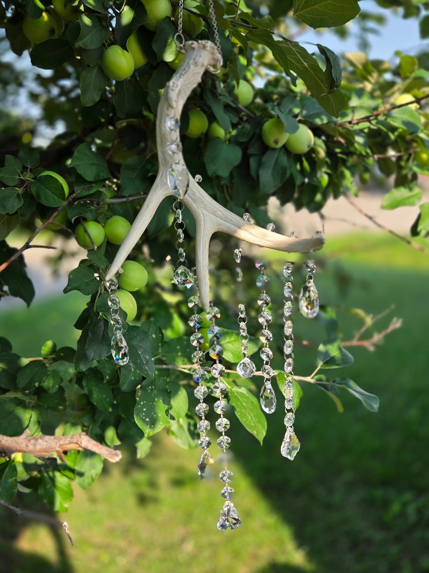 Wildwood Rain 🌳🌧 Deer Antler Crystal Suncatcher 🦌