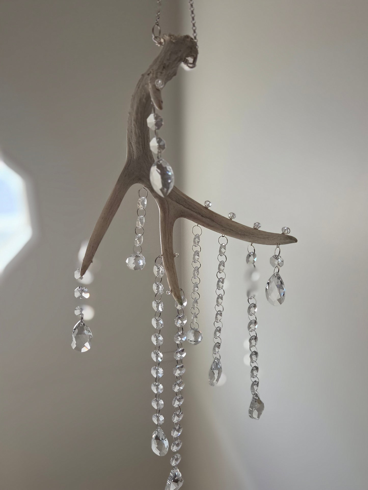 Wildwood Rain 🌳🌧 Deer Antler Crystal Suncatcher 🦌