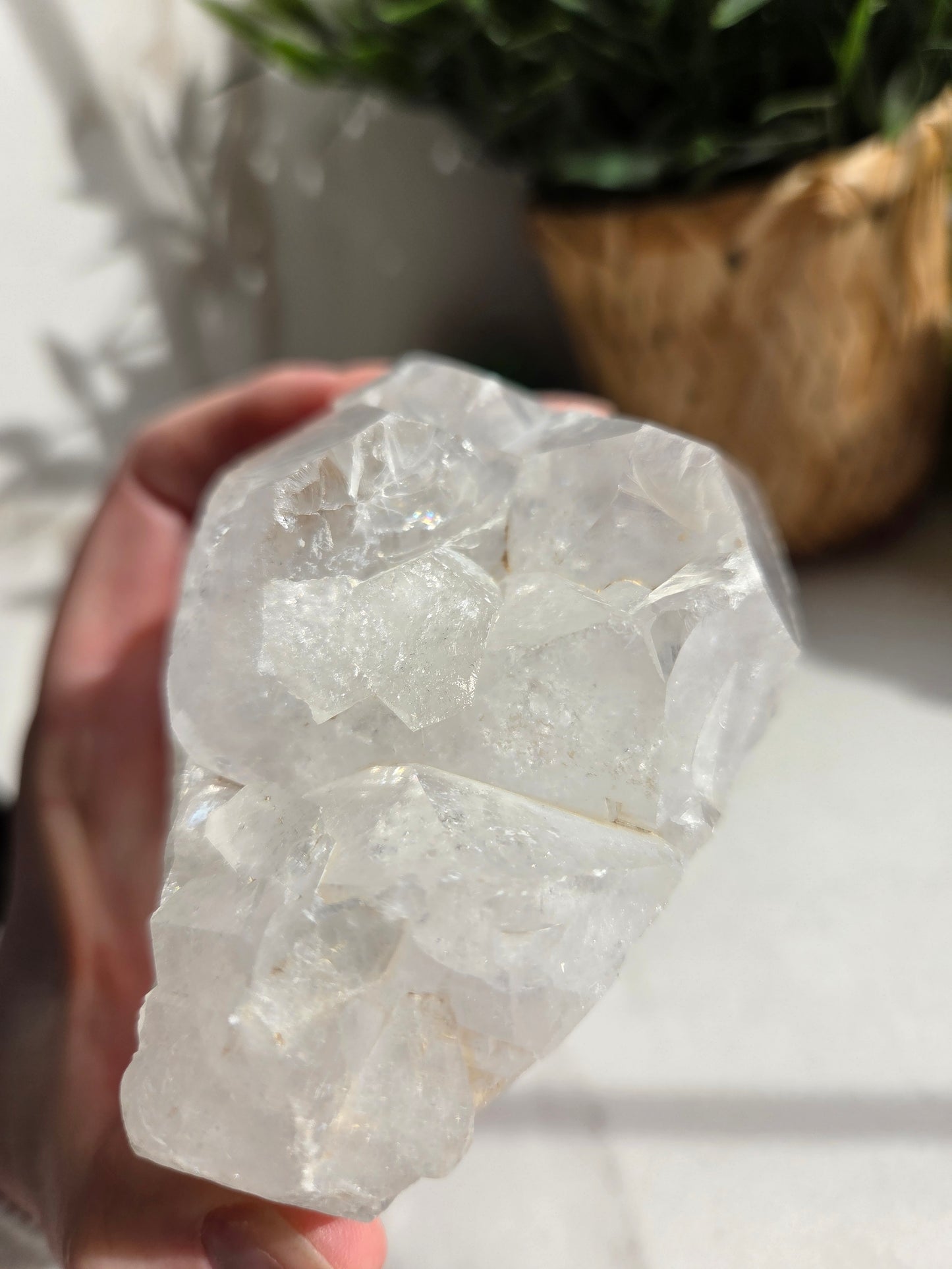 Raw Lemurian Quartz 🤍