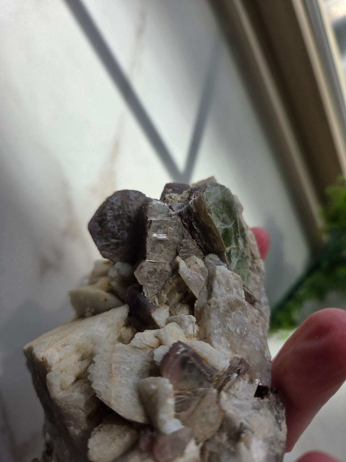Raw Lepidolite with Clevelandite Feldspar Specimen 😍