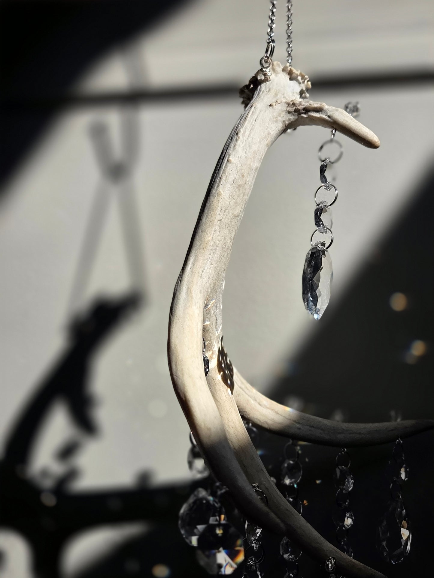 Wildwood Rain 🌳🌧 Deer Antler Crystal Suncatcher 🦌