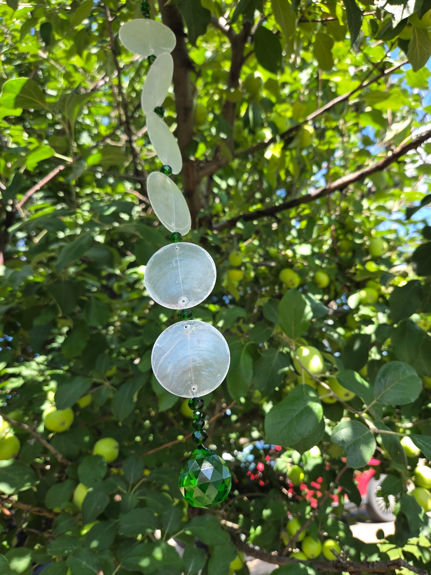 ✨ Capiz Shell Suncatchers