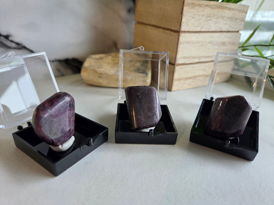 Polished Ruby Specimens ❤️