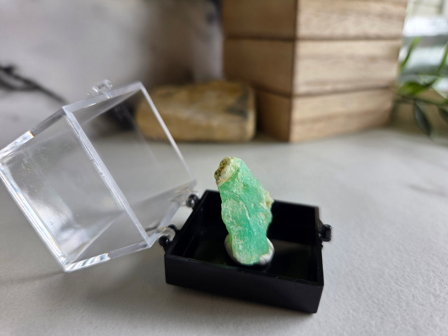 Chrysoprase Specimen 💚
