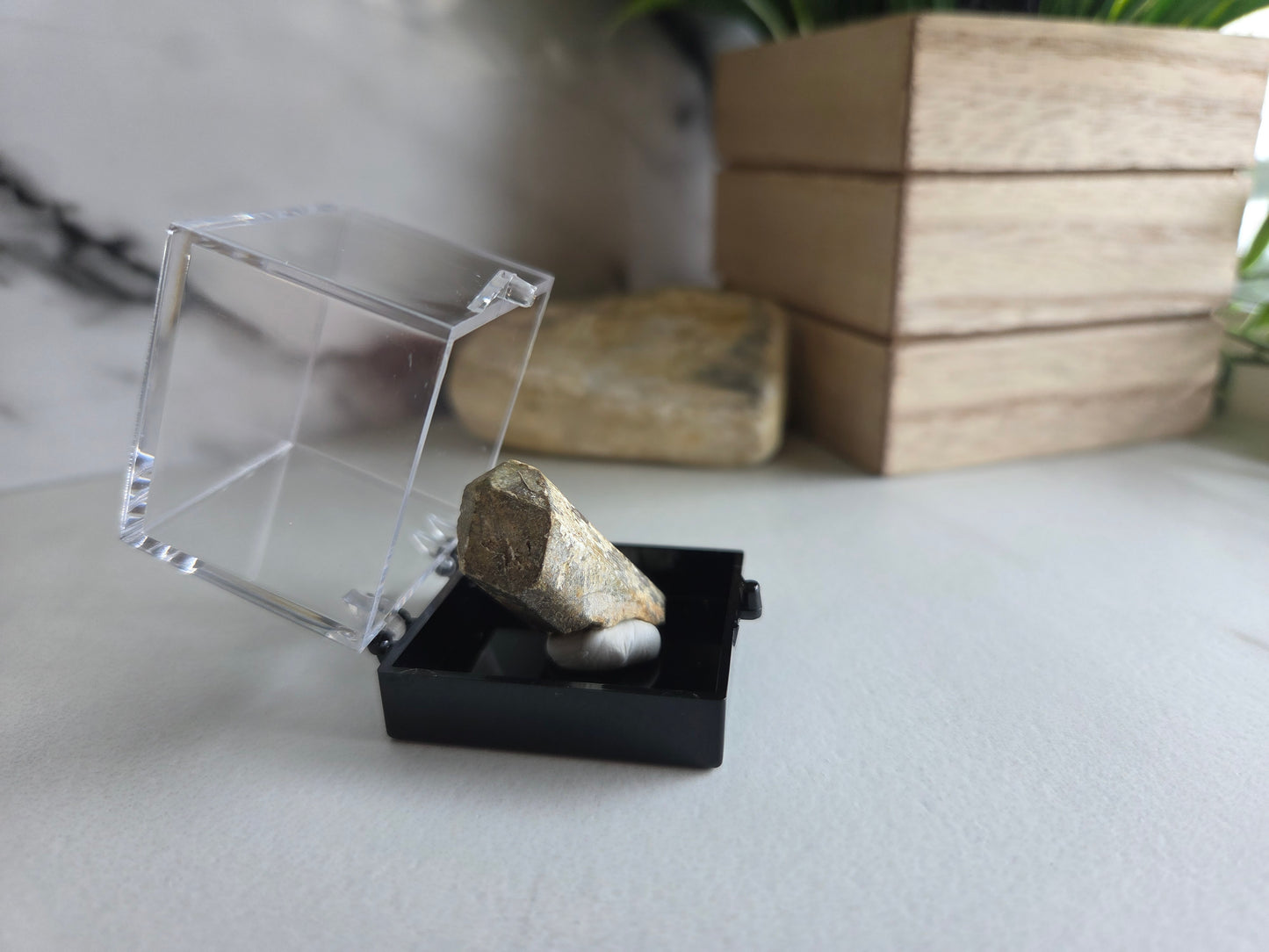Natural Scapolite Crystal Specimen
