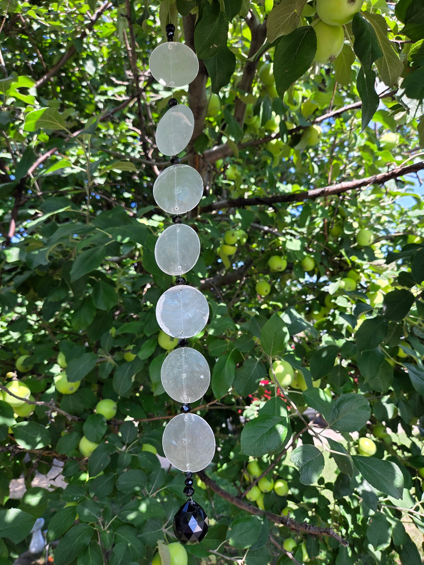 ✨ Capiz Shell Suncatchers
