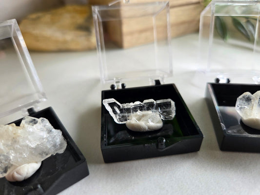 Faden Quartz Specimens 🤍✨️