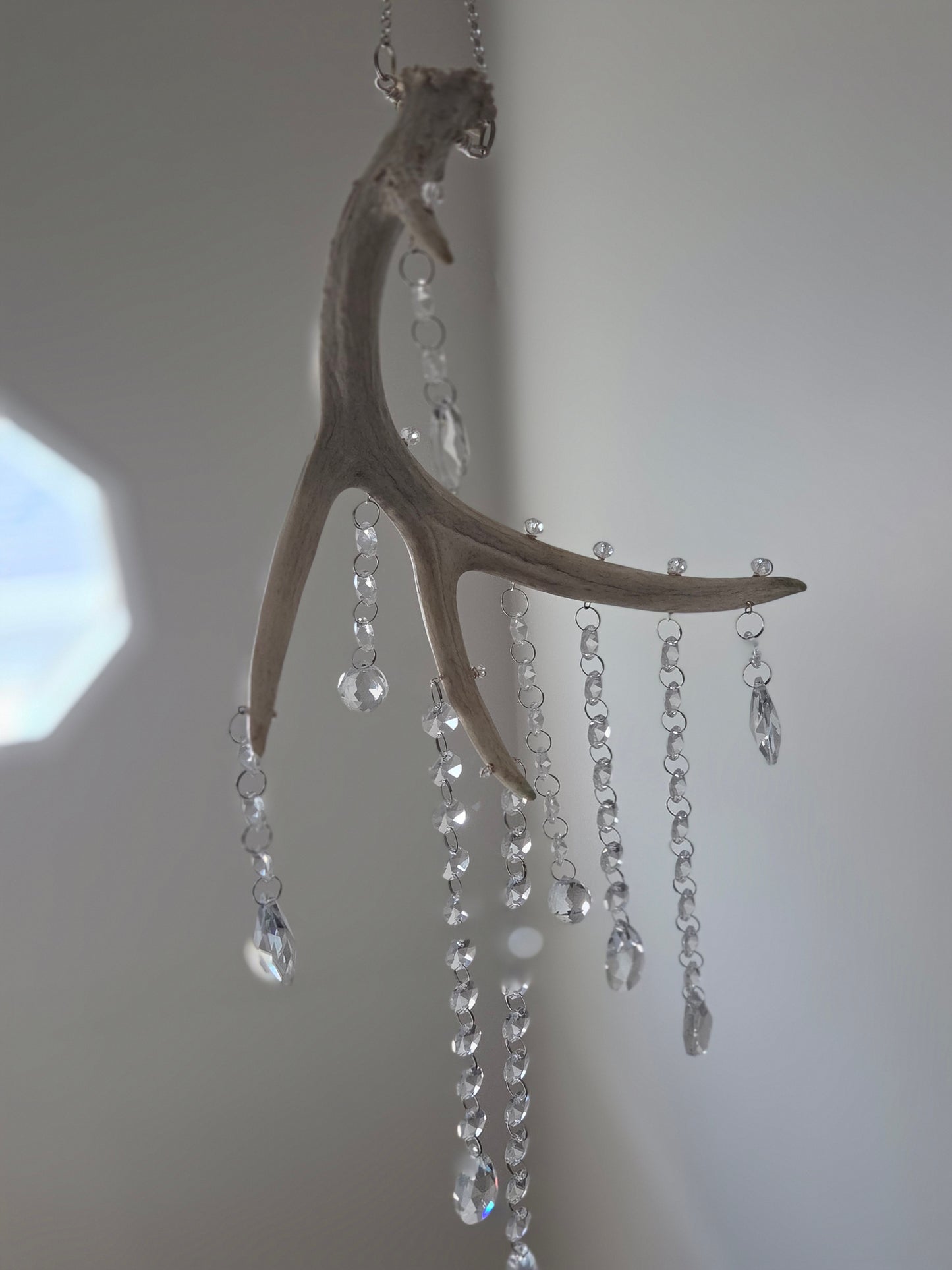 Wildwood Rain 🌳🌧 Deer Antler Crystal Suncatcher 🦌