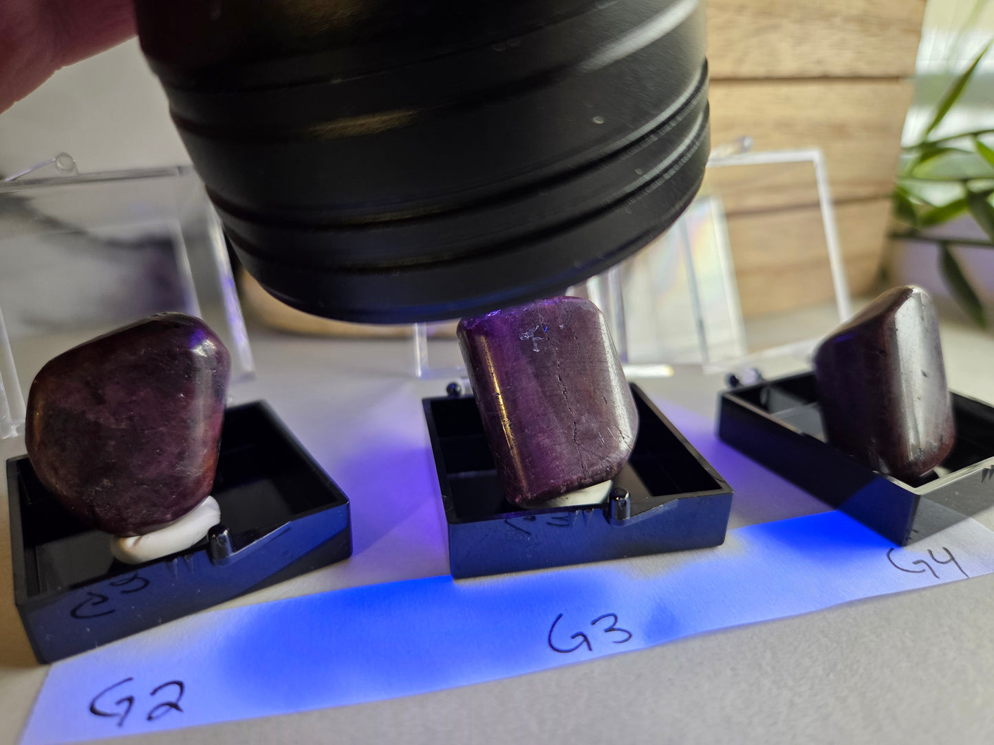 Polished Ruby Specimens ❤️