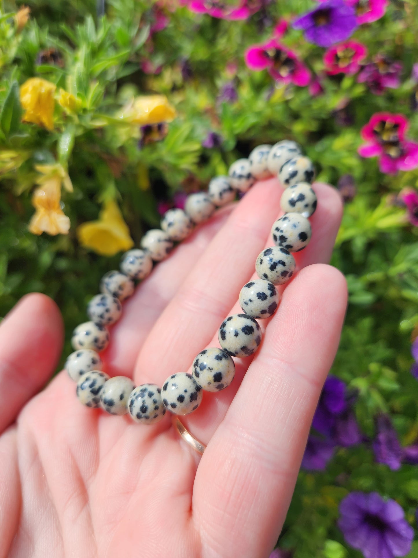 Dalmatian Jasper Bracelet