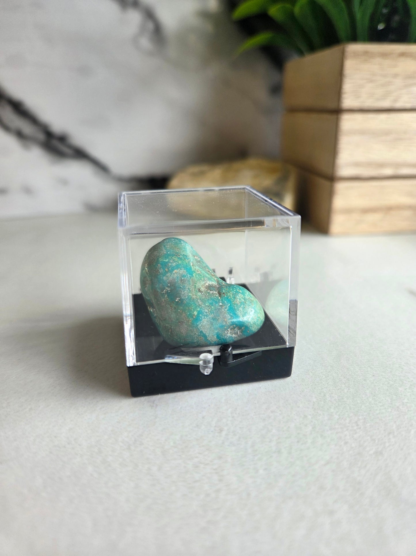 Polished Turquoise Specimen 💙
