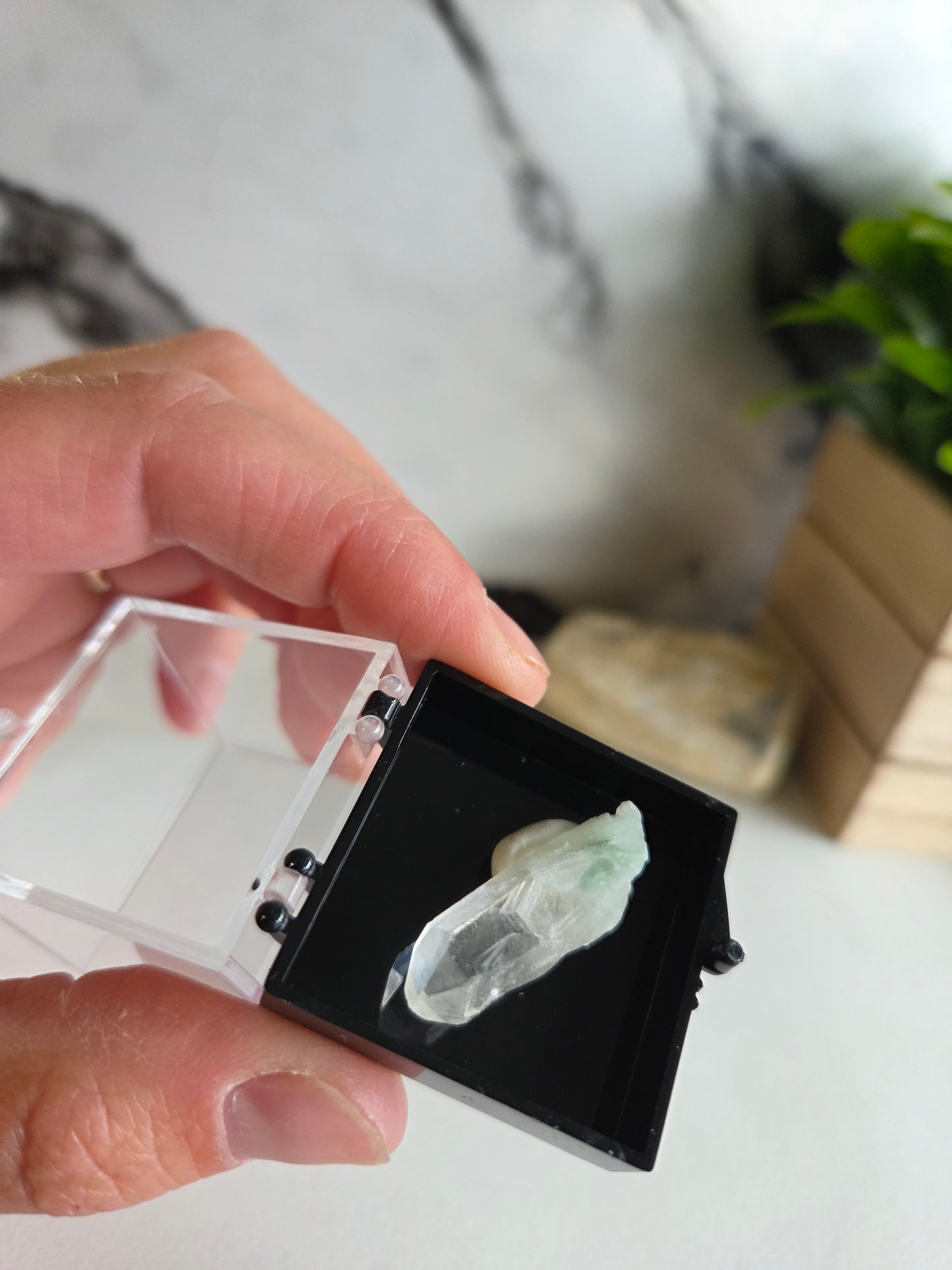 Fuchsite Phantom Quartz Specimens 💚