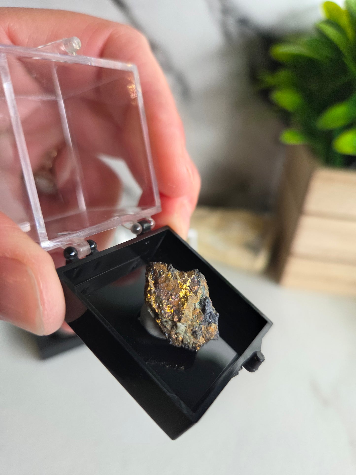 Covellite Specimen 💙