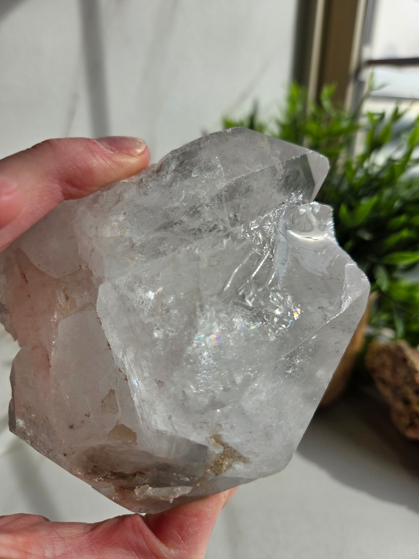 Raw Lemurian Quartz 🤍
