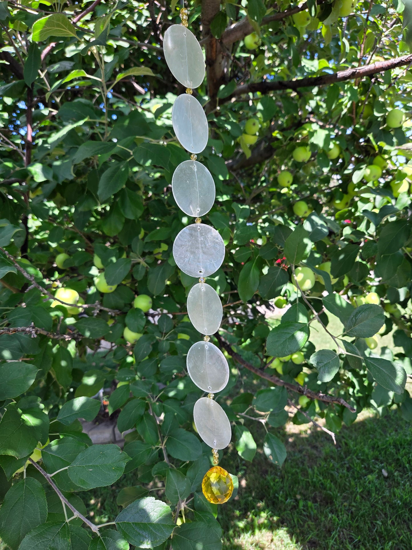 ✨ Capiz Shell Suncatchers