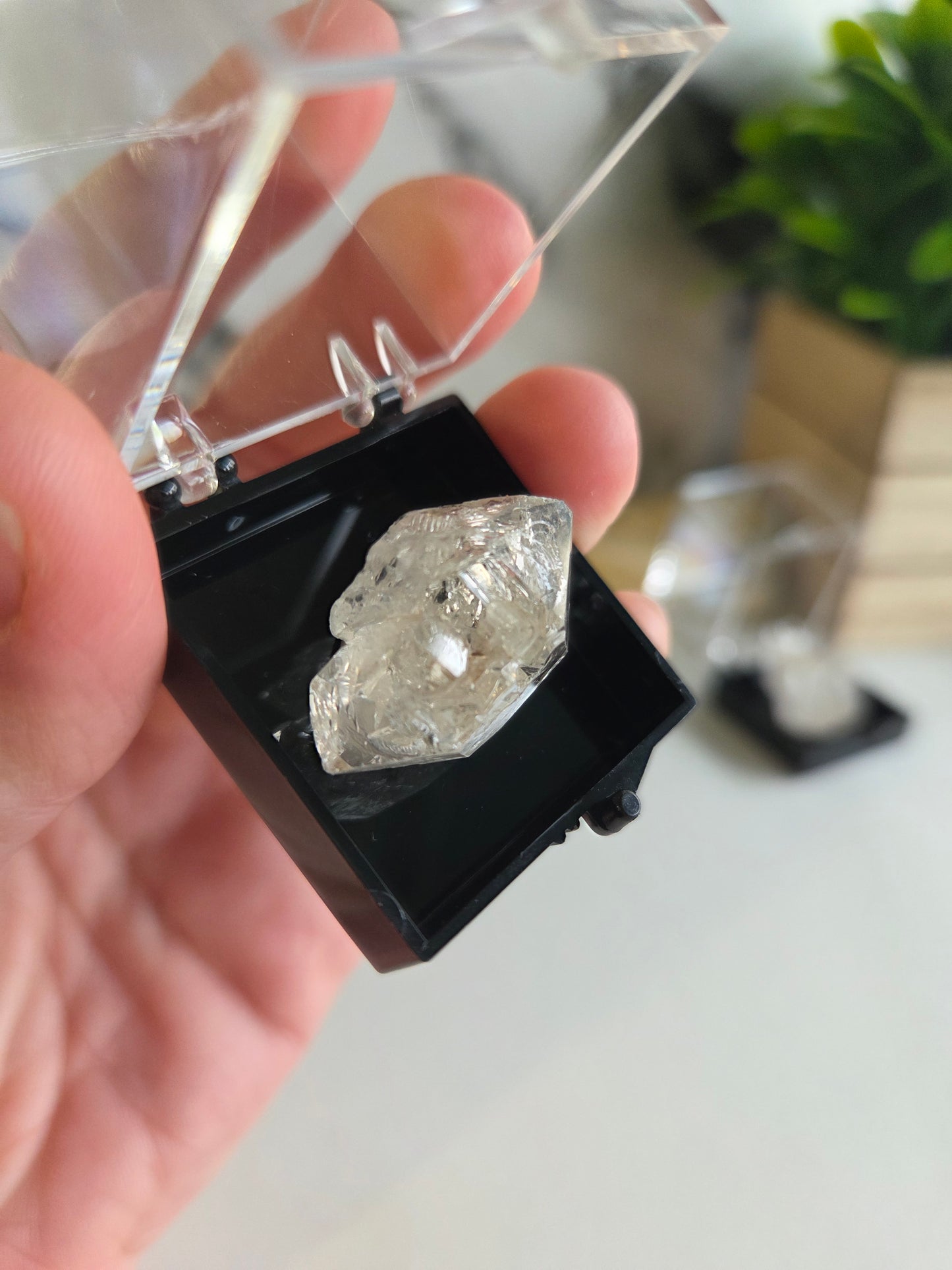 Fenster Quartz Specimen 🤍