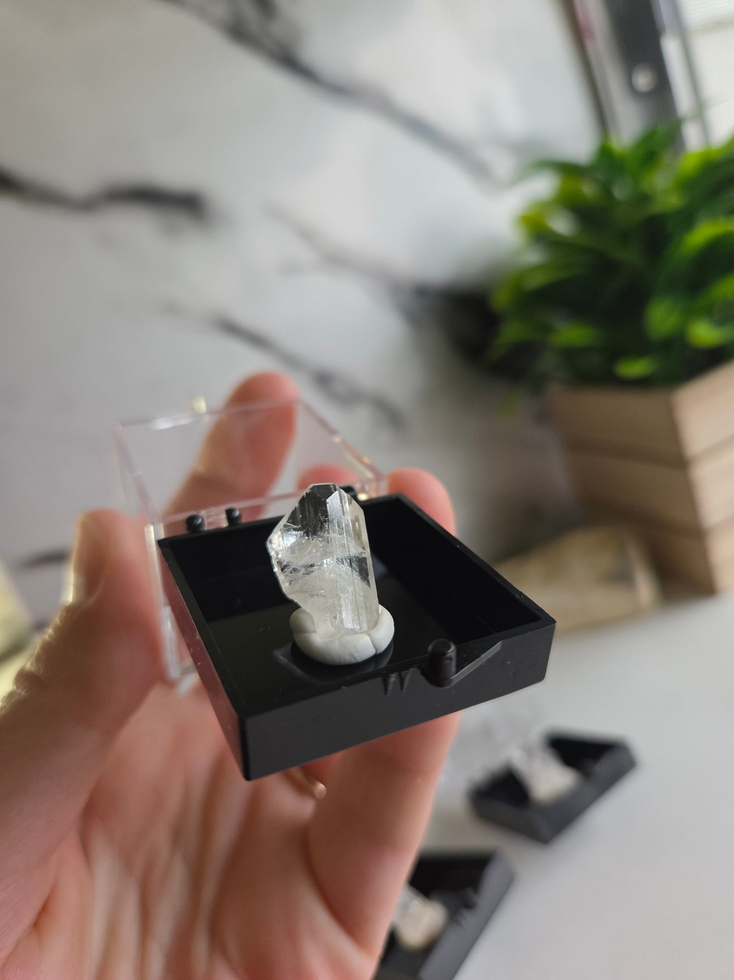 Danburite Crystal Specimens ✨