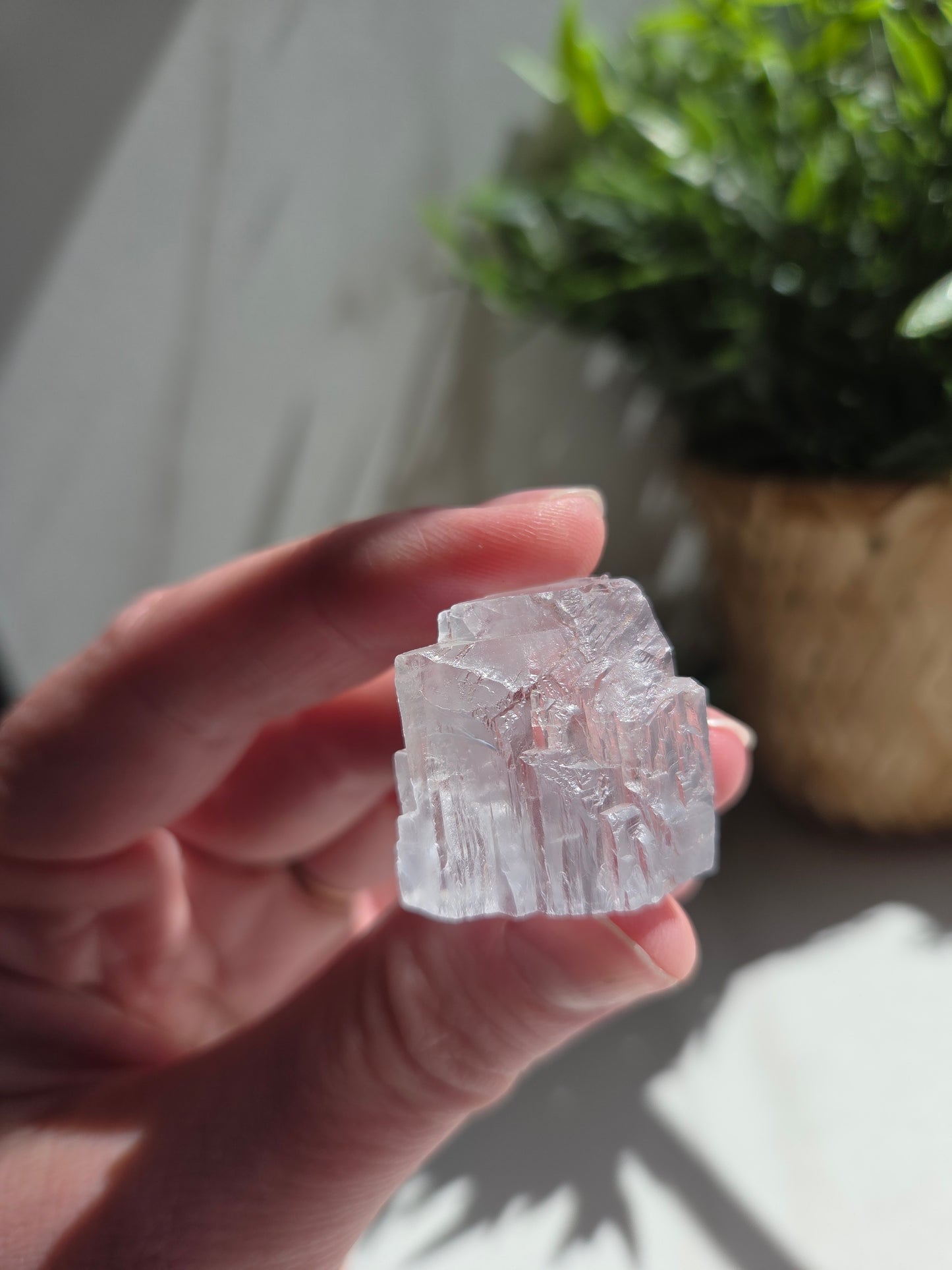 Raw Blue Halite 💙