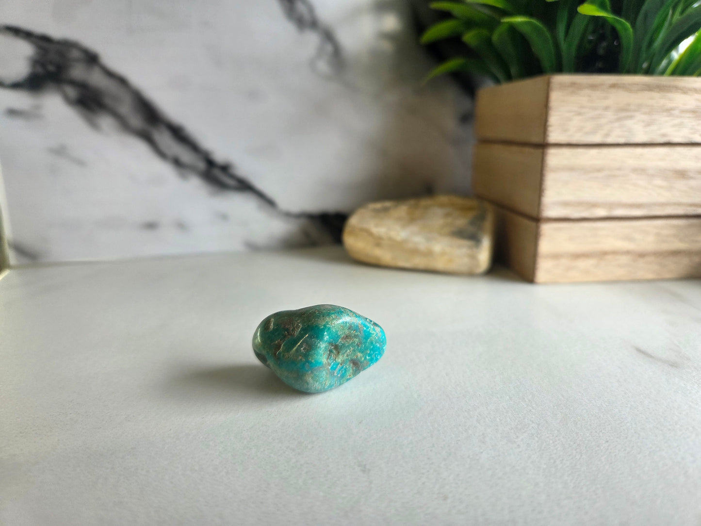Polished Turquoise Specimen 💙