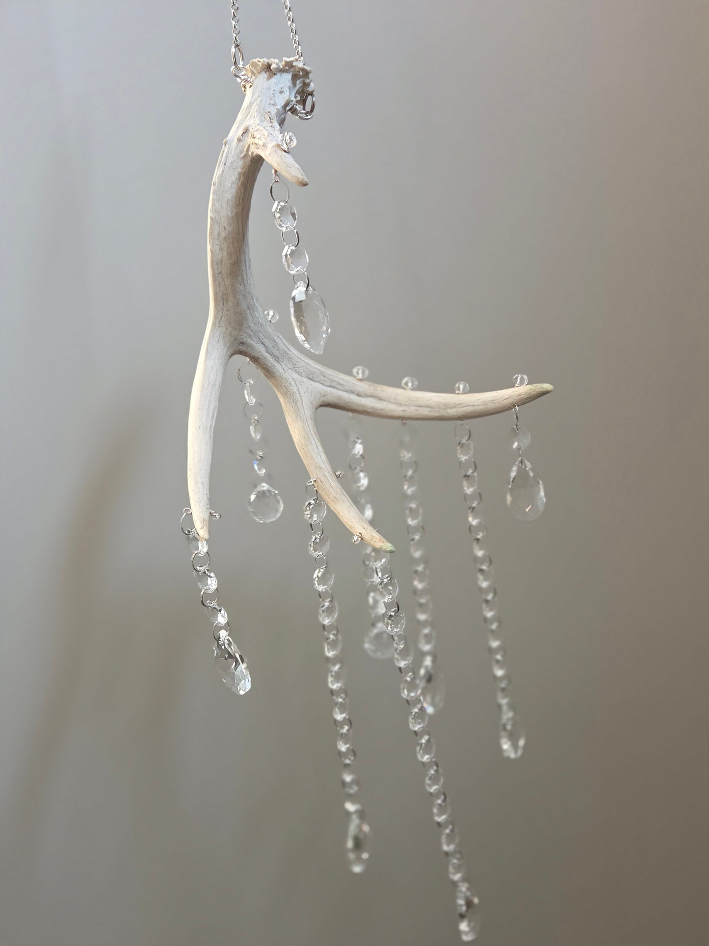 Wildwood Rain 🌳🌧 Deer Antler Crystal Suncatcher 🦌