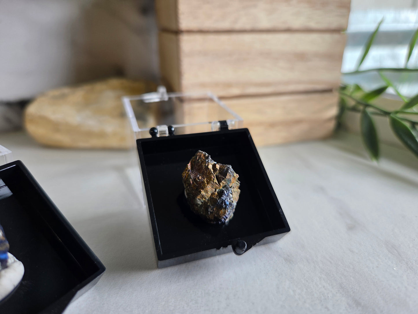 Covellite Specimen 💙