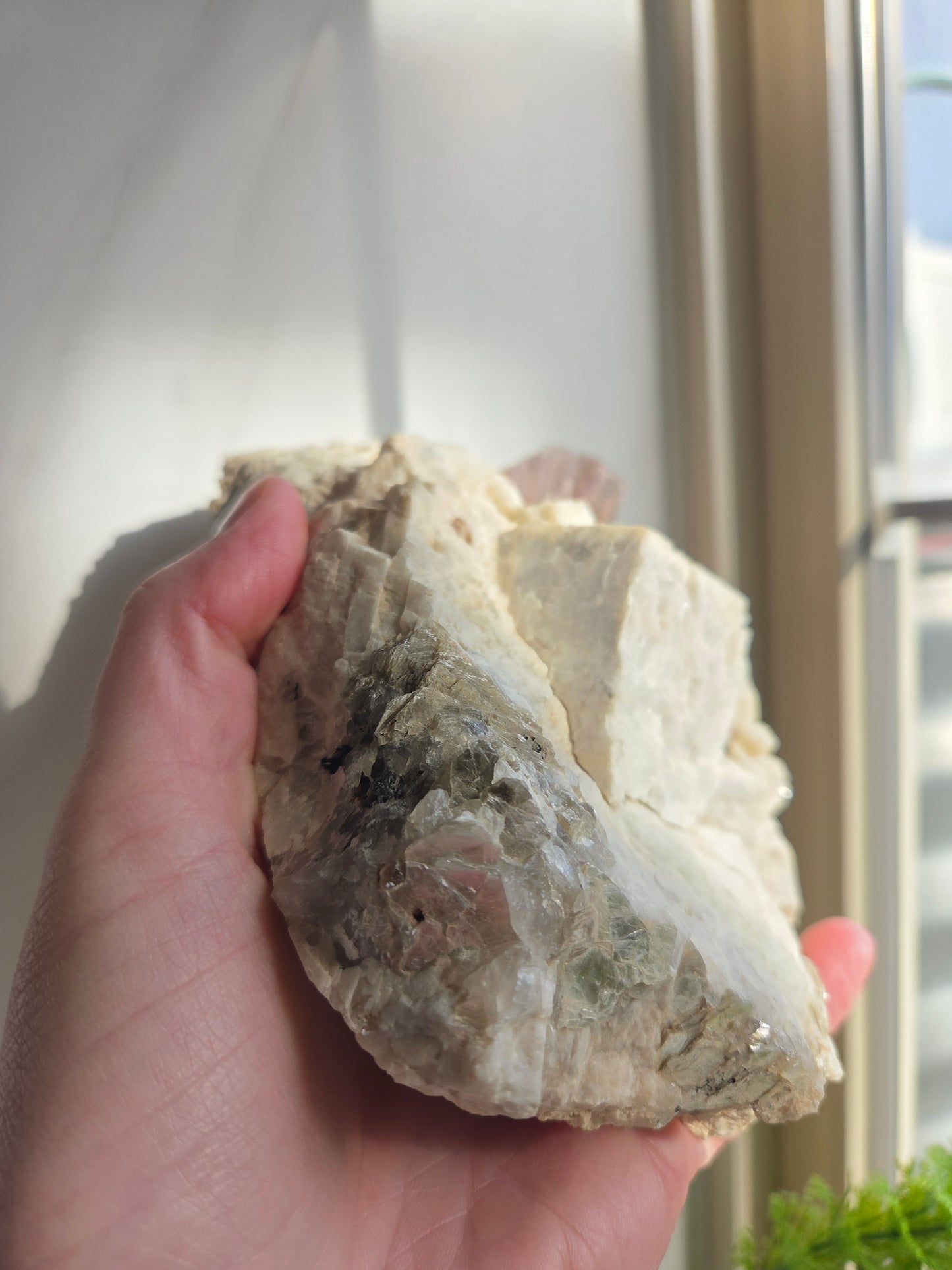 Raw Lepidolite with Clevelandite Feldspar Specimen 😍