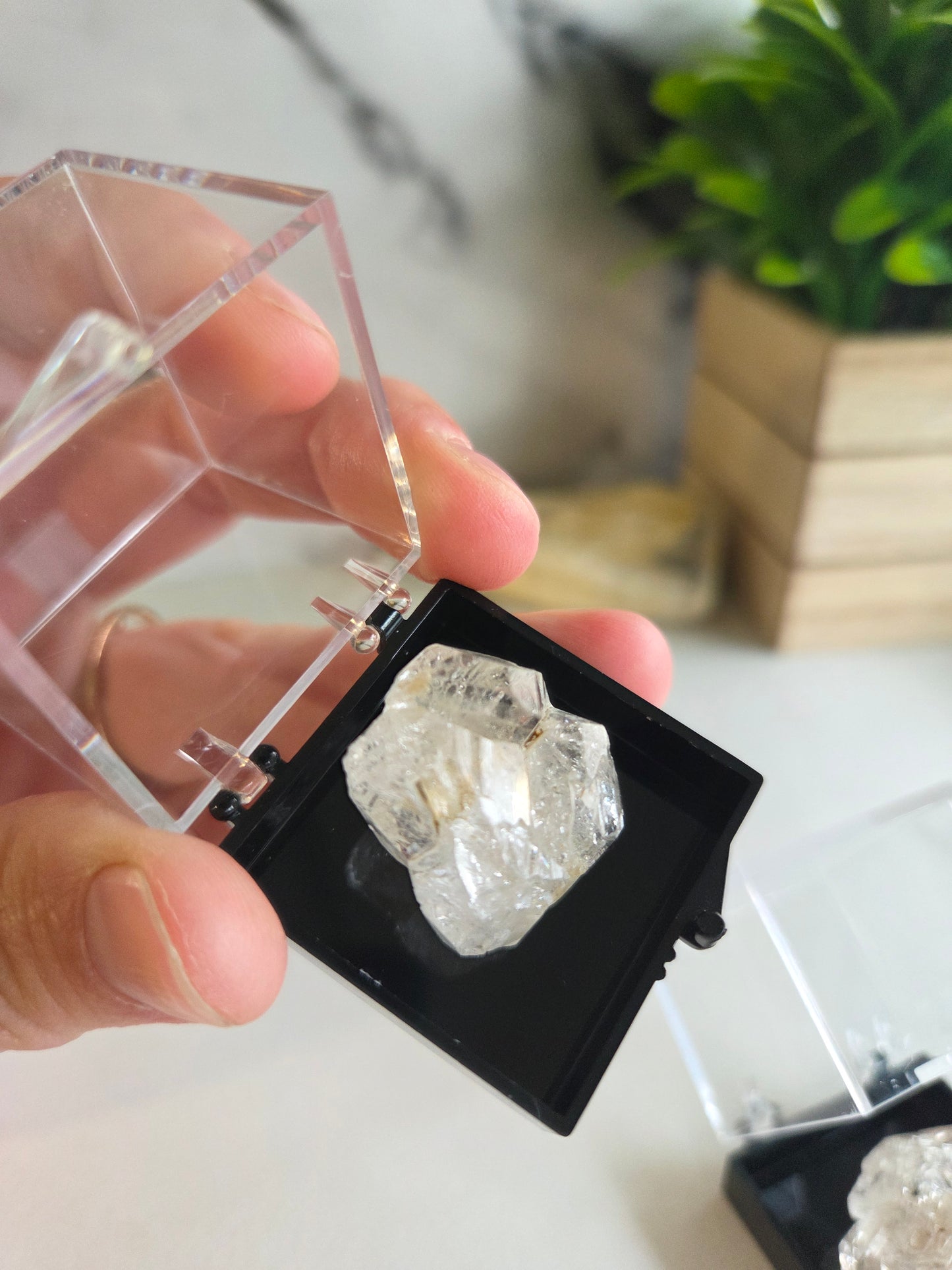 Fenster Quartz Specimen 🤍