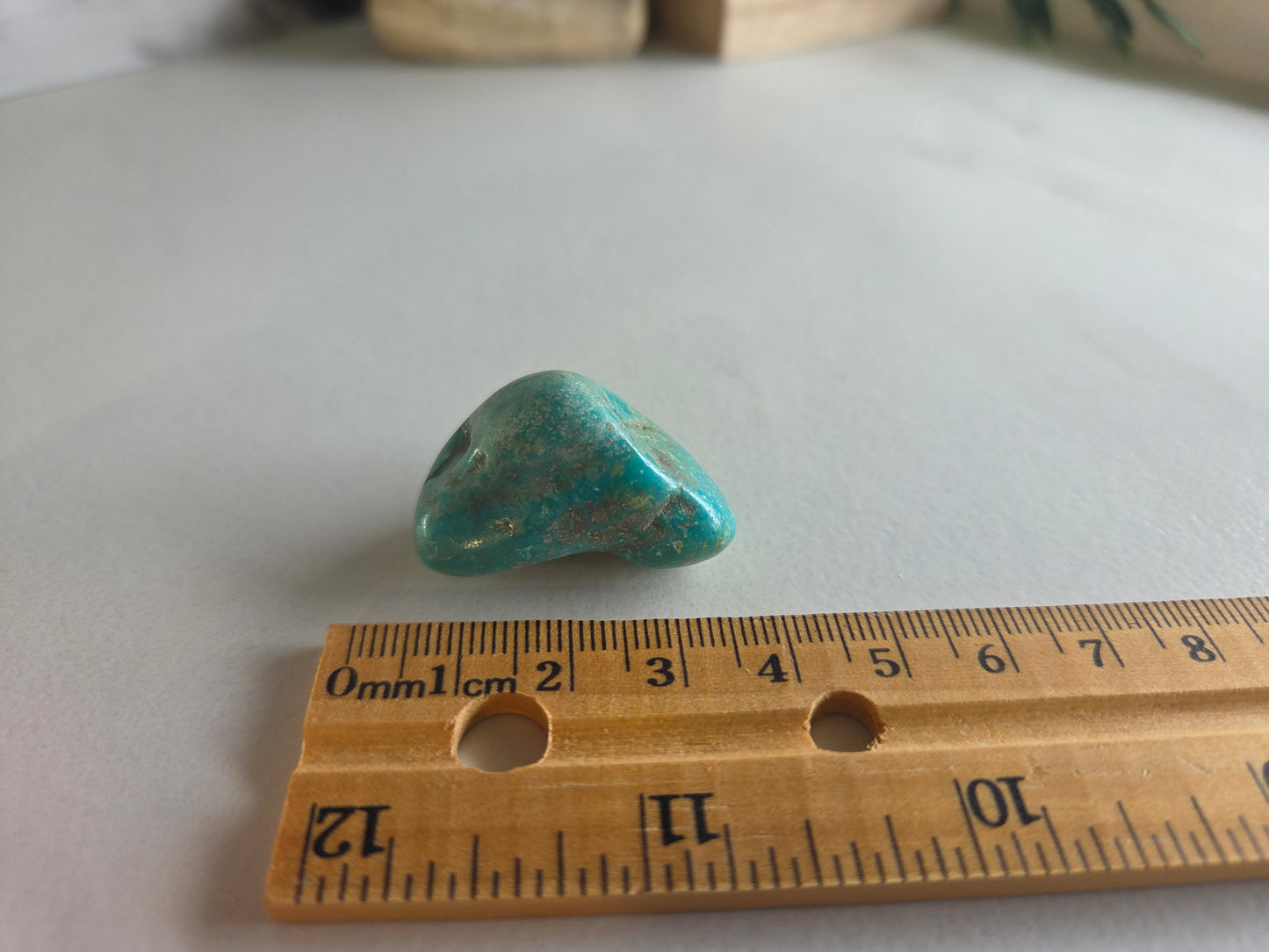 Polished Turquoise Specimen 💙