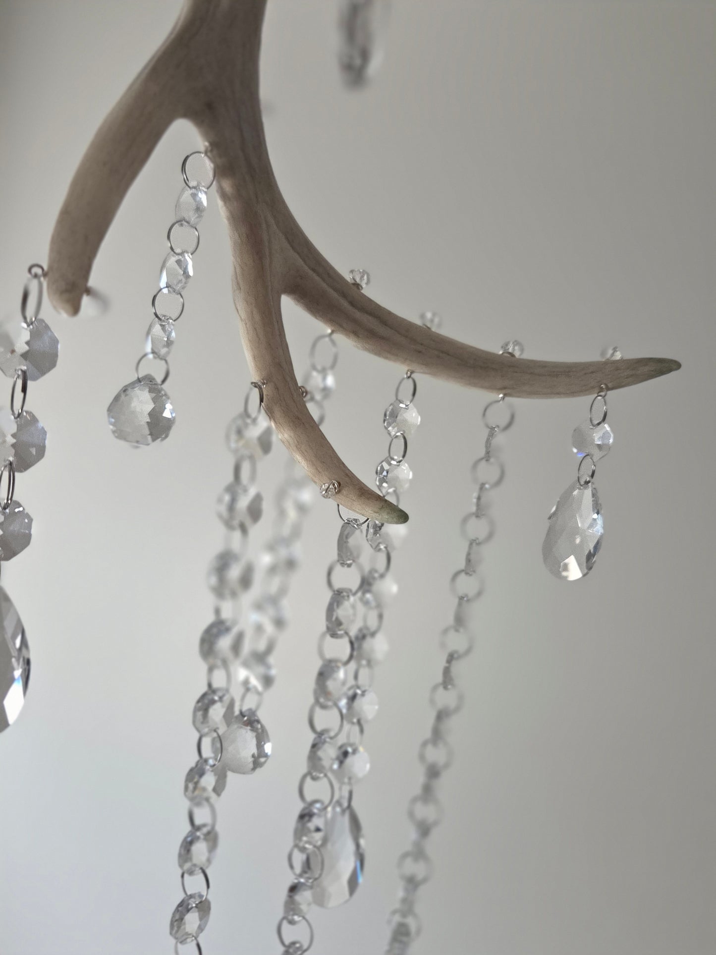 Wildwood Rain 🌳🌧 Deer Antler Crystal Suncatcher 🦌