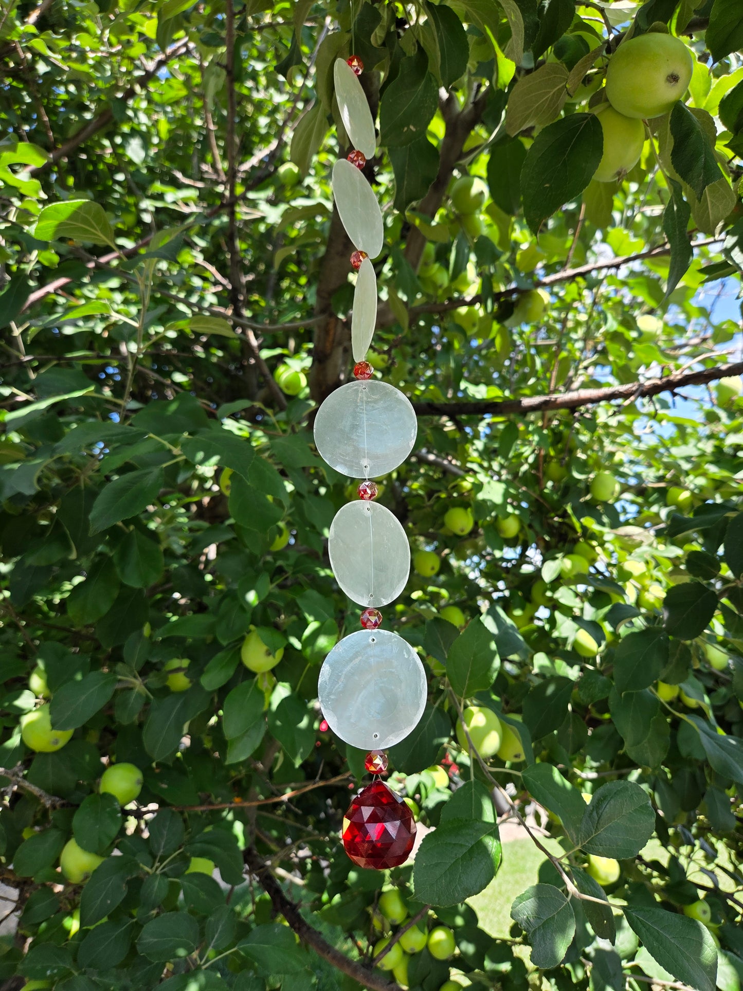 ✨ Capiz Shell Suncatchers